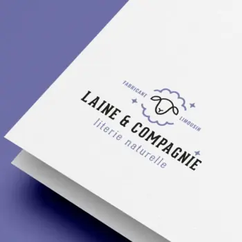 Illustration de la création : Laine et compagnie